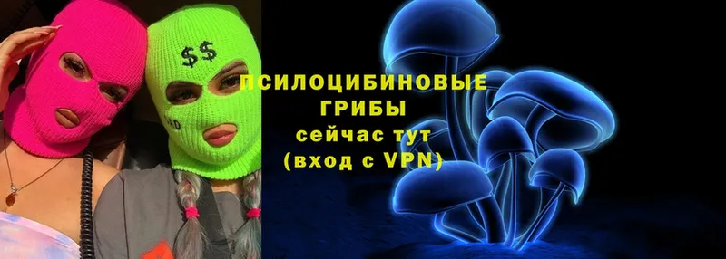 магазин продажи   Верхоянск  Галлюциногенные грибы Psilocybe 